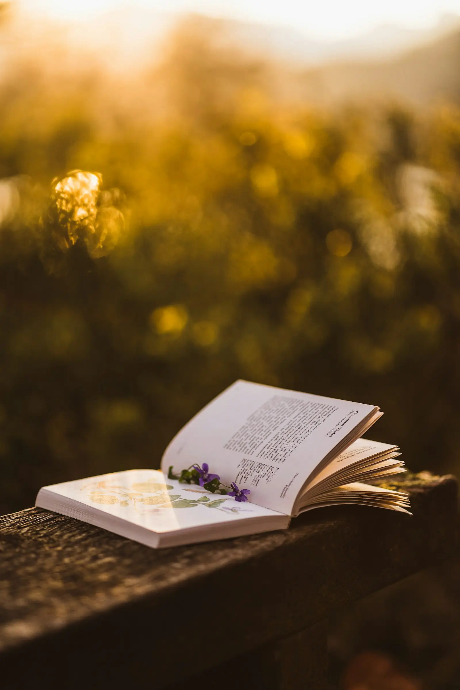 Cottagecore Fantasy: 10 Cozy Books for a Slow, Magical Life